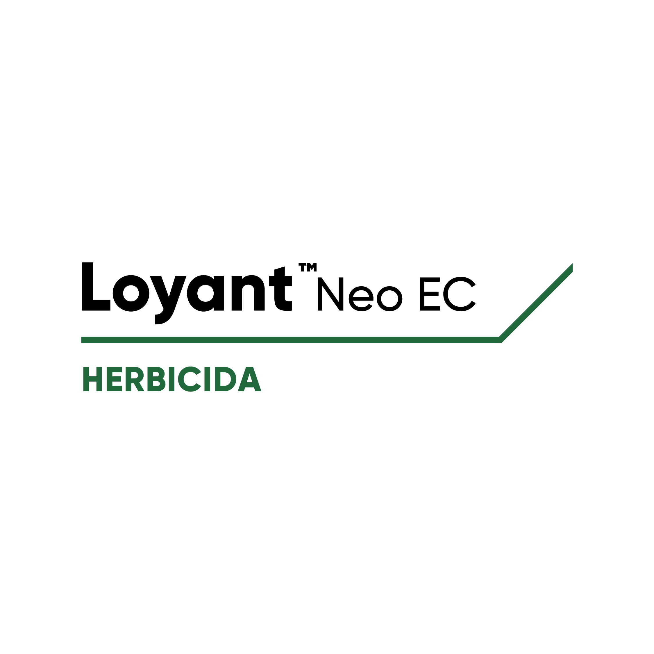 loyant-neo_ec